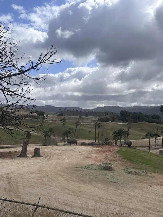 Roar and Snore Campground Picture 2