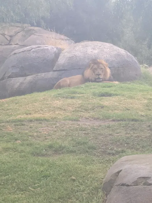 Roar and Snore Campground Picture 4