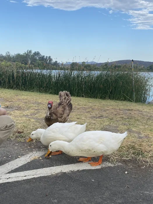 Lake O'Neill Recreational Checkout Picture 7