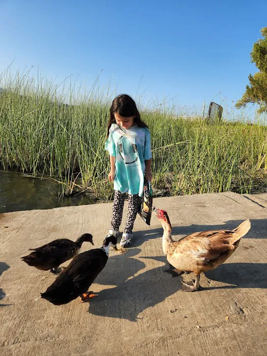 Lake O'Neill Recreational Checkout Picture 3