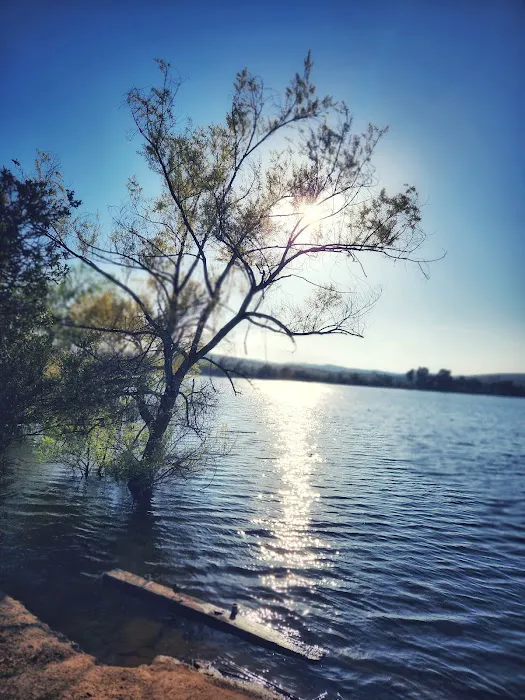 Lake O'Neill Campground Picture 5