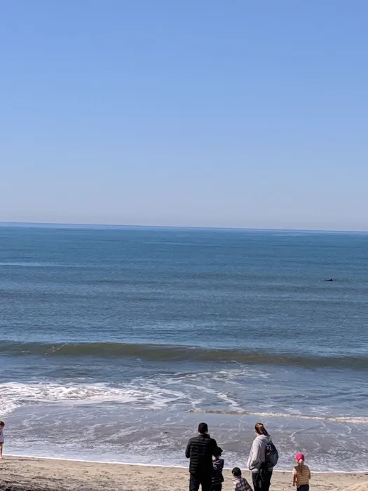 Carlsbad Trailer Plaza Picture 1