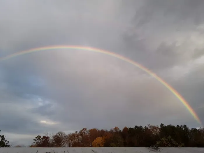 Goods Mobile Home Park Picture 2