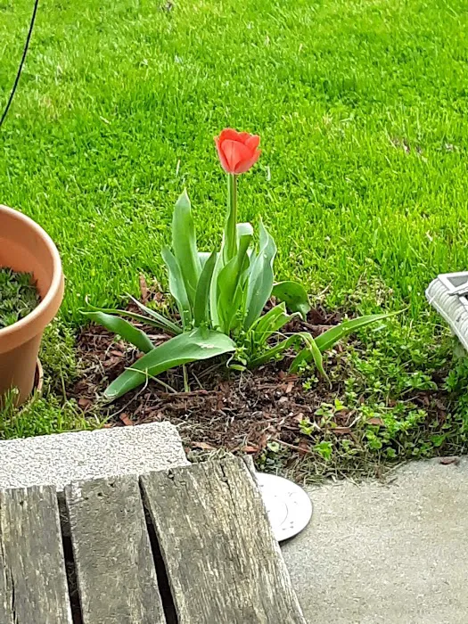 Goods Mobile Home Park Picture 6