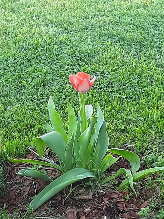 Goods Mobile Home Park Picture 1