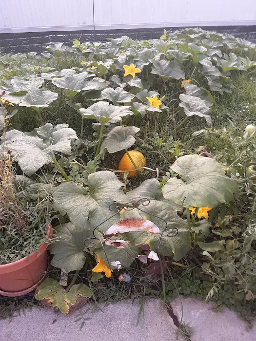 Goods Mobile Home Park Picture 5