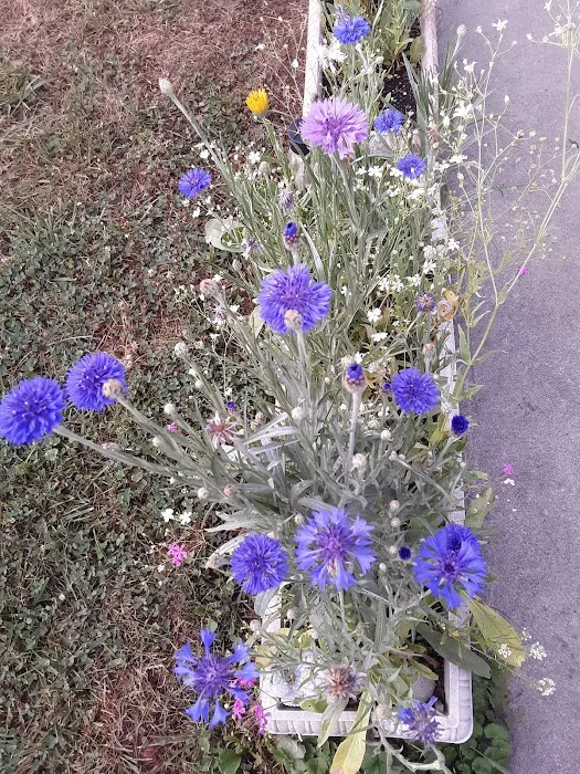 Goods Mobile Home Park Picture 4