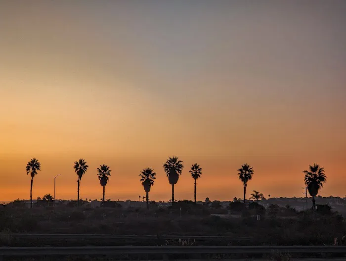 South Carlsbad State Beach Picture 2