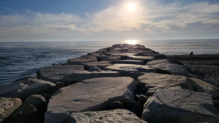 South Carlsbad State Beach Picture 5