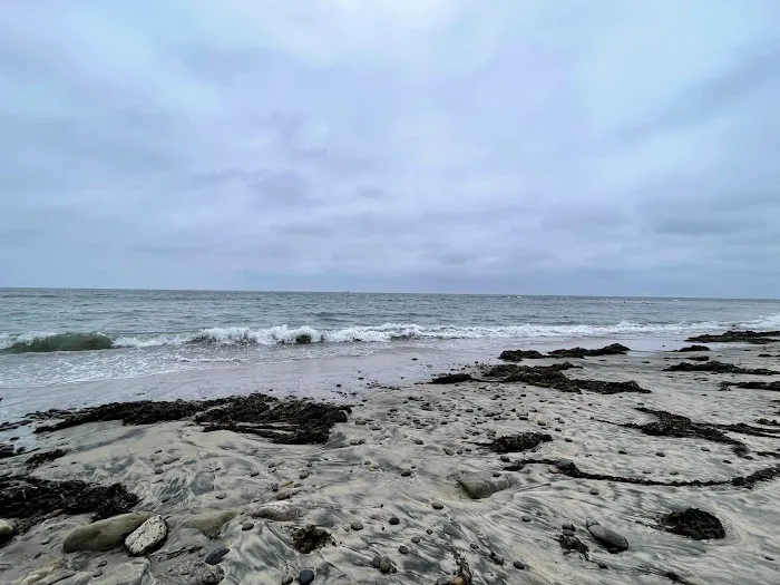 South Carlsbad State Beach Picture 6