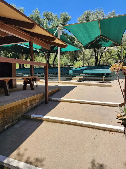 Wildwood Ranch Camp Picture 3