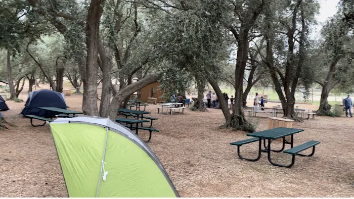 Wildwood Ranch Camp Picture 10