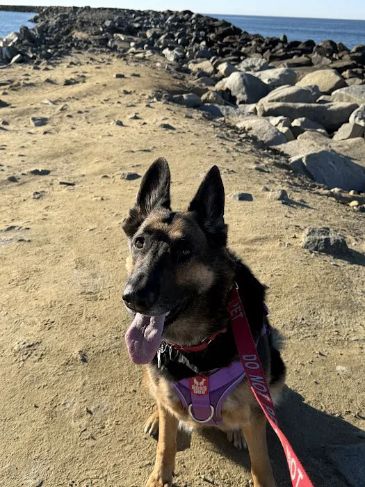 Camp Pendleton Del Mar Beach & MarinaCottages Picture 9