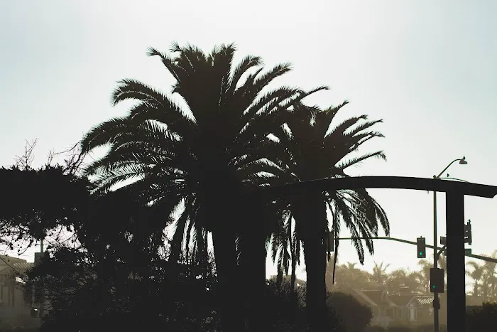 Pelican Point Picture 6