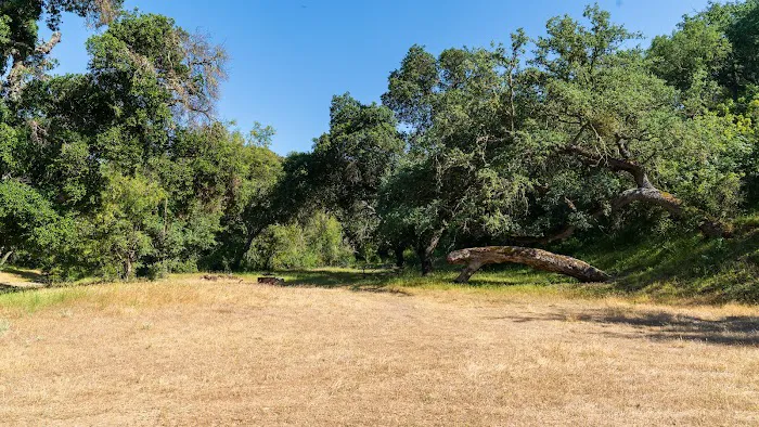 Horseshoe Springs Campground Picture 8