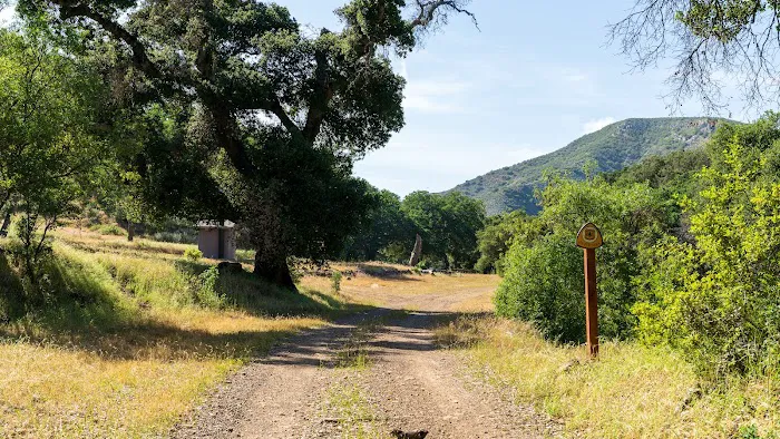 Horseshoe Springs Campground Picture 4