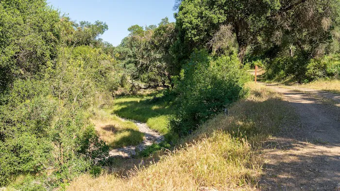 Horseshoe Springs Campground Picture 9