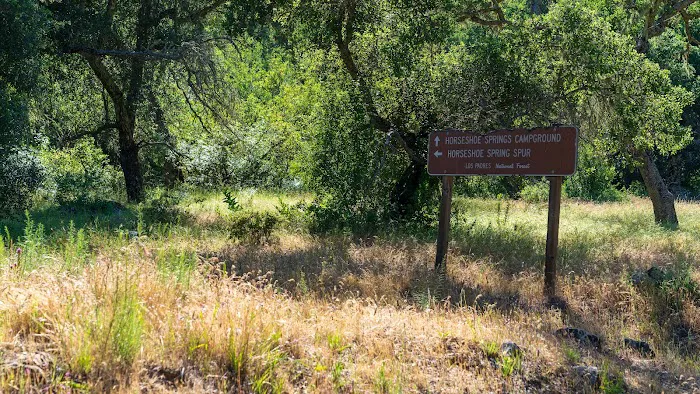 Horseshoe Springs Campground Picture 7