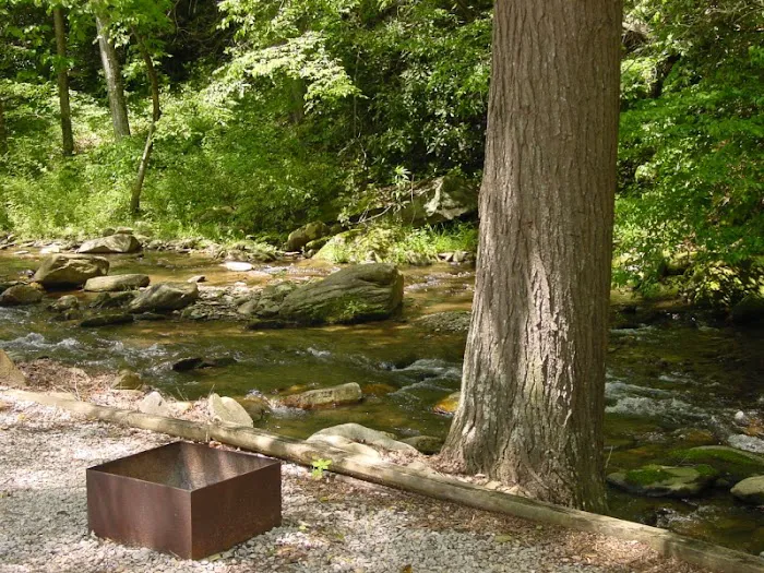 Mountain Stream RV Park Picture 4