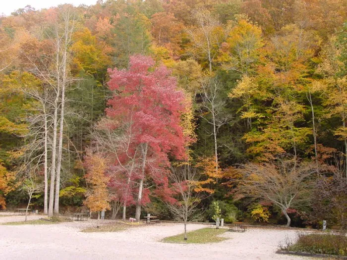 Mountain Stream RV Park Picture 7