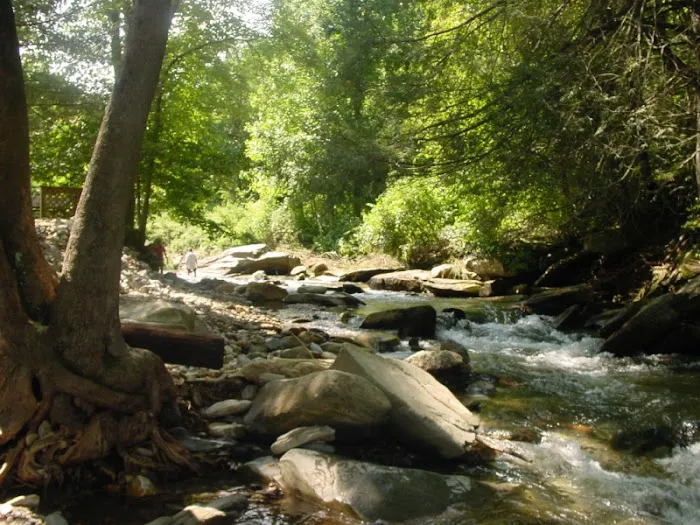 Mountain Stream RV Park Picture 6