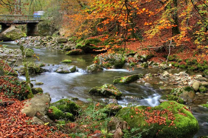 Mountain Stream RV Park Picture 10