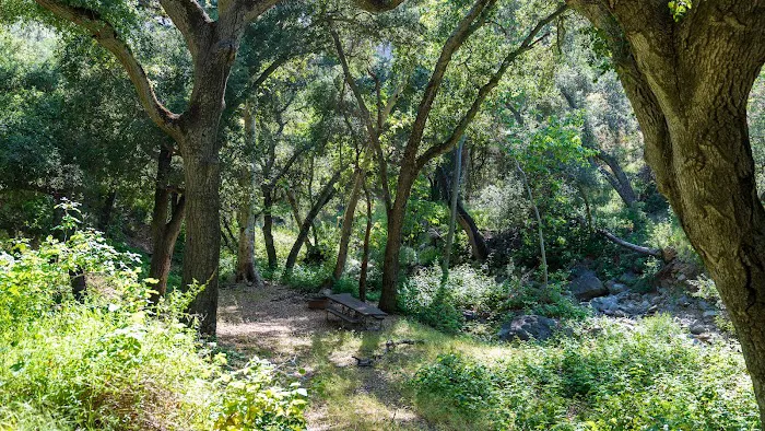 Brookshire Campground Picture 6