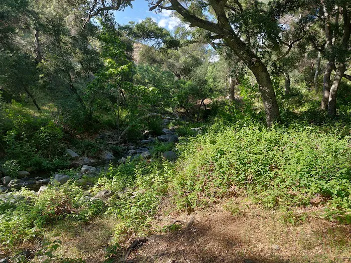 Brookshire Campground Picture 4