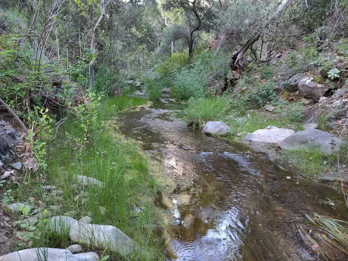 Brookshire Campground Picture 7