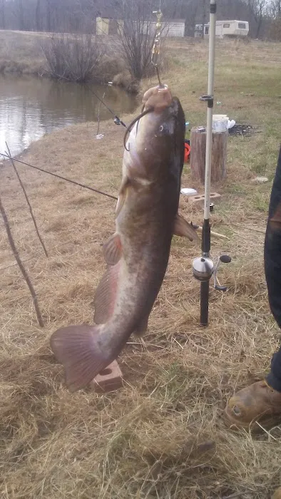 Mad Mama's River Run Campground Picture 1