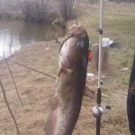 Mad Mama's River Run Campground