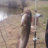 Mad Mama's River Run Campground ico