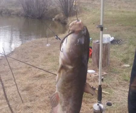 Mad Mama's River Run Campground