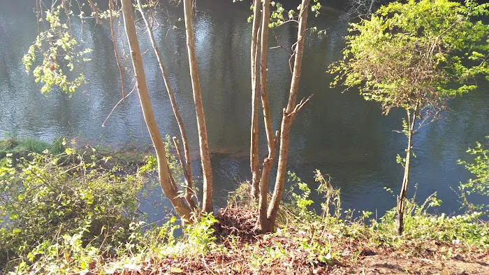 Mad Mama's River Run Campground Picture 10