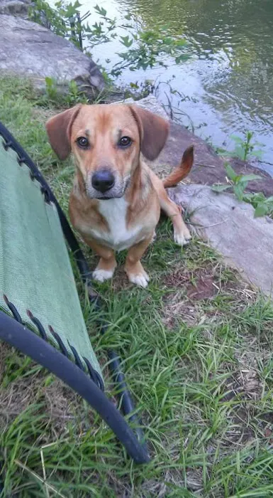 Mad Mama's River Run Campground Picture 7