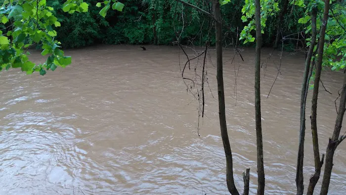 Mad Mama's River Run Campground Picture 6