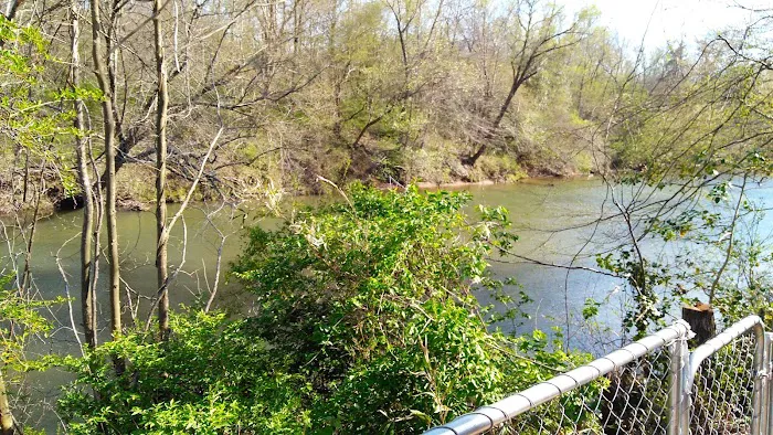 Mad Mama's River Run Campground Picture 3