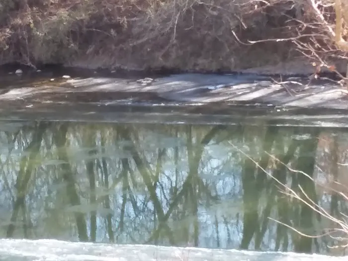 Mad Mama's River Run Campground Picture 9