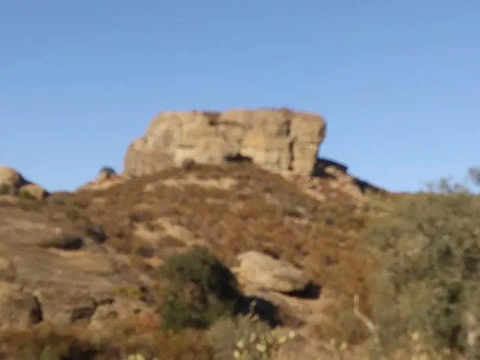 Buck Spring Campground Picture 8