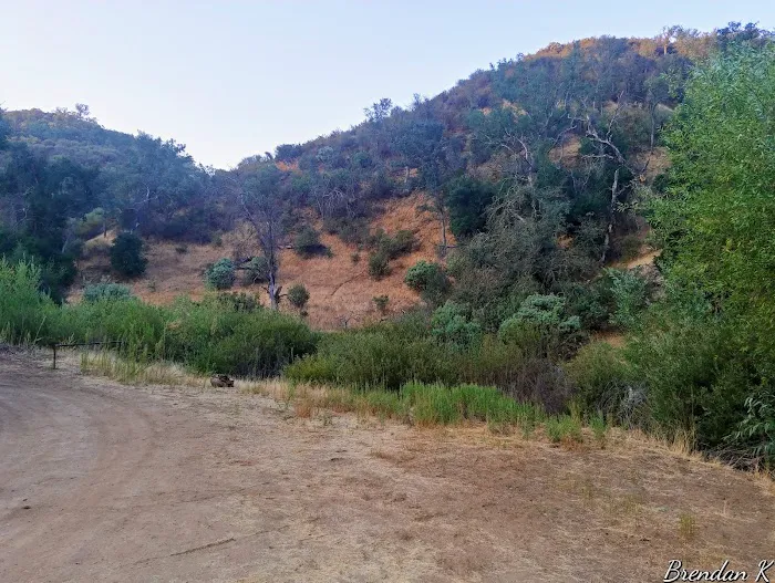 Baja Campground Picture 2