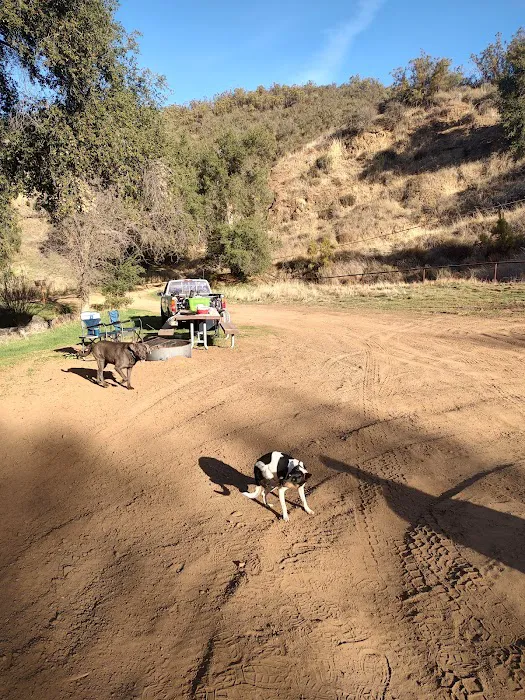 Baja Campground Picture 4