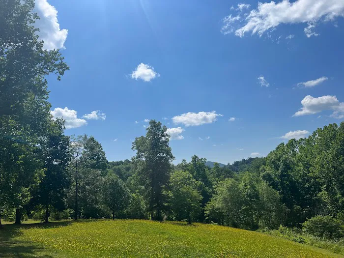 Green Life Campground & RV Park Picture 4