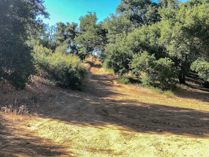 Paradise Campground Picture 3