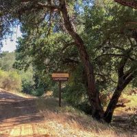 Paradise Campground ico