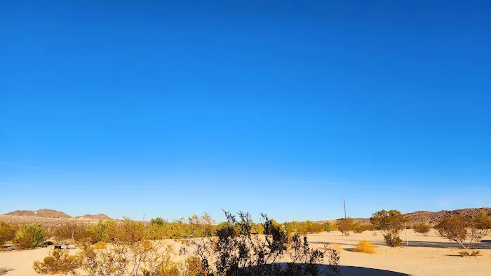 Joshua Tree Lake RV & Campground Picture 3