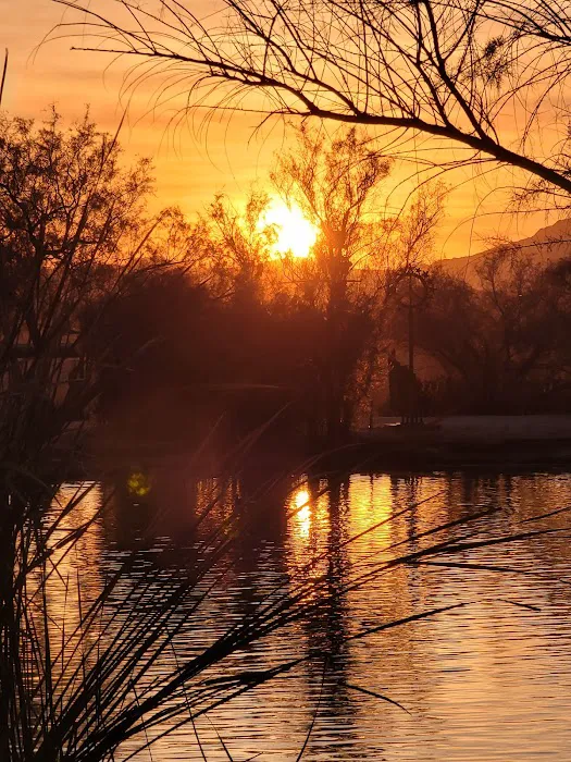 Joshua Tree Lake RV & Campground Picture 8
