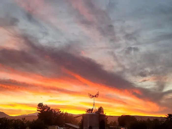 Joshua Tree Lake RV & Campground Picture 5