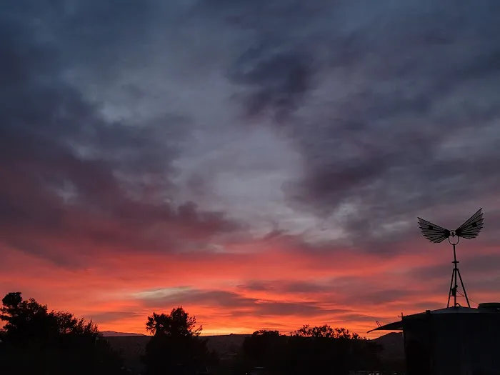 Joshua Tree Lake RV & Campground Picture 9
