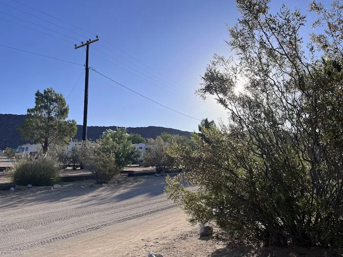 Joshua Tree Lake RV & Campground Picture 2