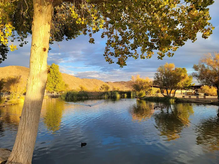 Joshua Tree Lake RV & Campground Picture 10